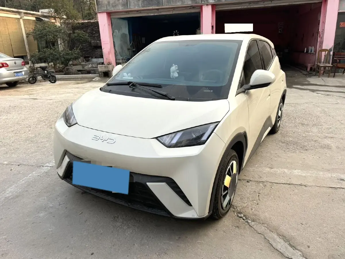 2025 BYD Seagull BEV 30.08KWH