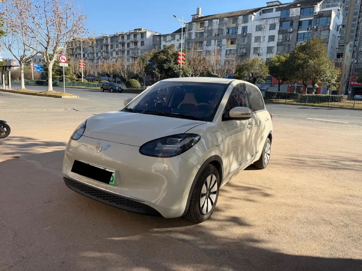 2024 WuLing BinGuo BEV 31.9KWH