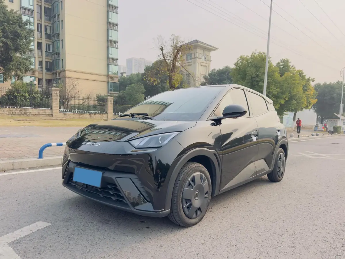 2023 BYD Seagull BEV 30.08KWH