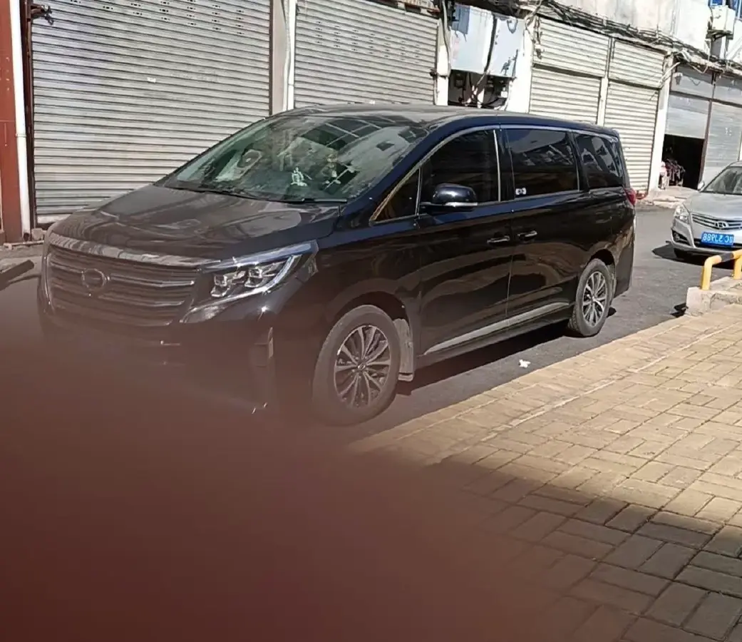 2023 GAC Trumpchi M8 2.0T 252HP L4 8AT