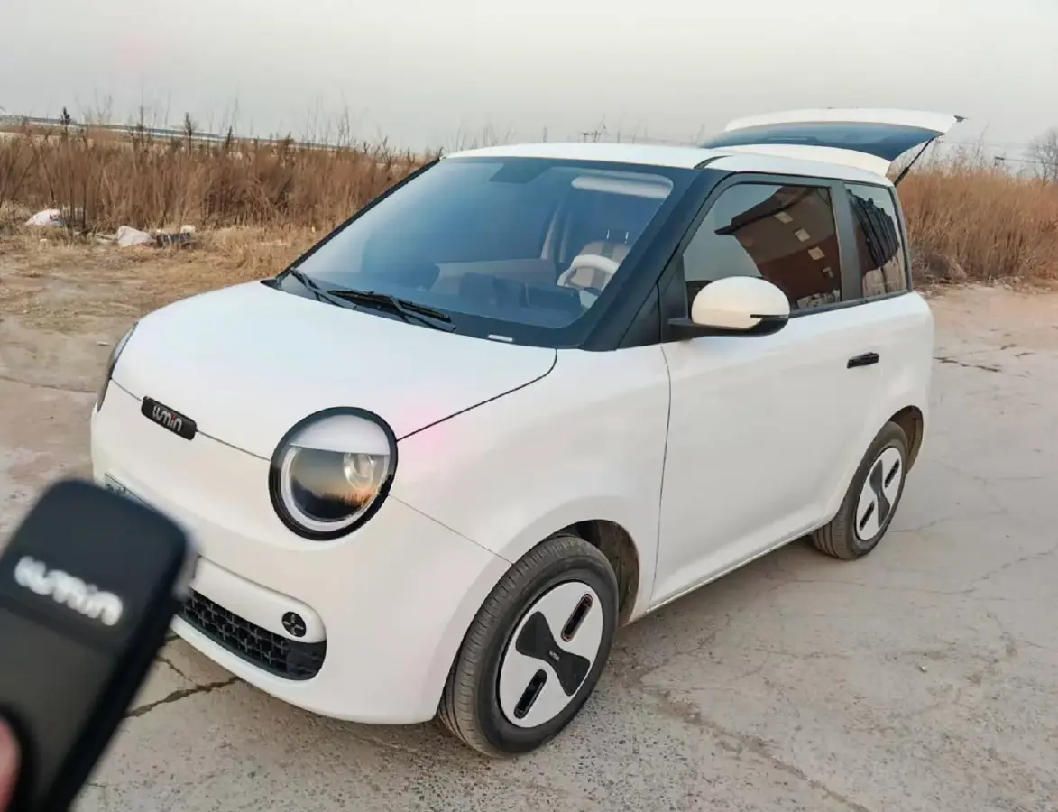 2026 ChangAn QiYuan Lumin BEV