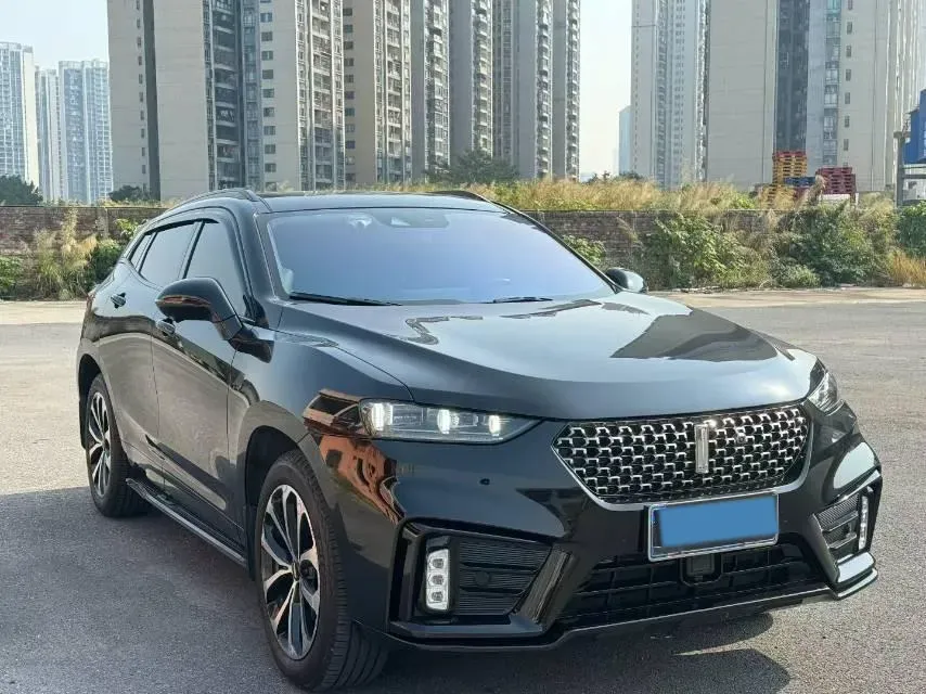 2019 WEY VV7 2.0T 234HP L4 7DCT,autocango,china used car exporter,china ev exporter,chinese used car exporter,chinese used ev exporter