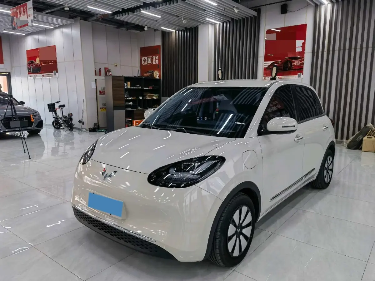 2024 WuLing BinGuo BEV 31.9KWH