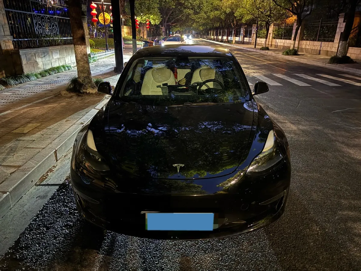 2021 Tesla Model 3 BEV 76.8KWH,autocango,china used car exporter,china ev exporter,chinese used car exporter,chinese used ev exporter