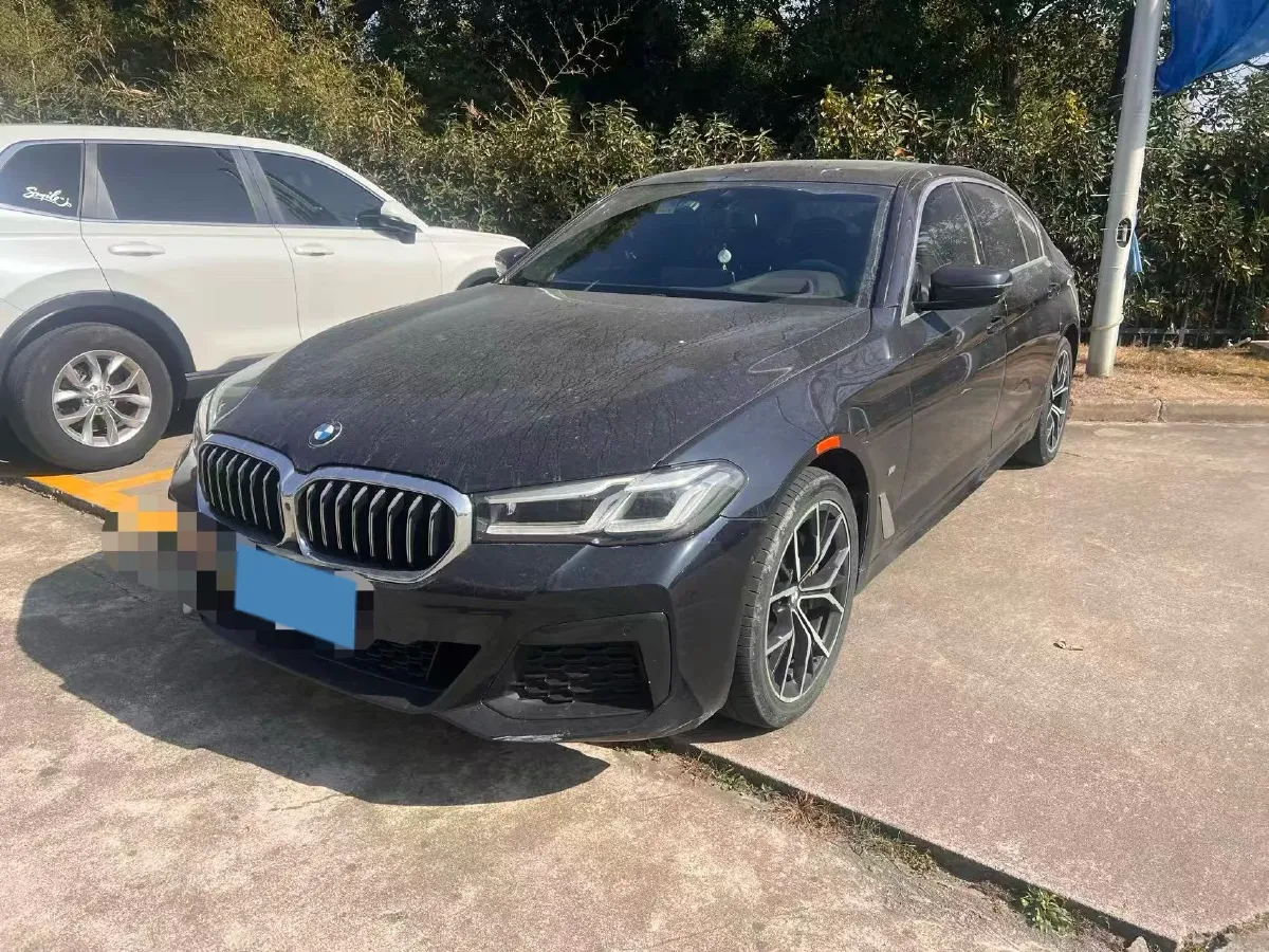 2021 BMW 5 Series 2.0T 252HP L4 8AT,autocango,china used car exporter,china ev exporter,chinese used car exporter,chinese used ev exporter