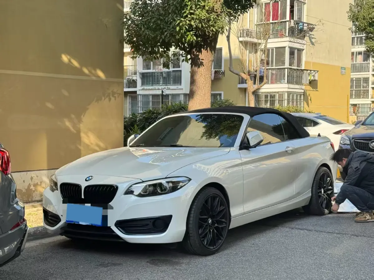 2019 BMW 2 Series 2.0T 184HP L4 8AT,autocango,china used car exporter,china ev exporter,chinese used car exporter,chinese used ev exporter