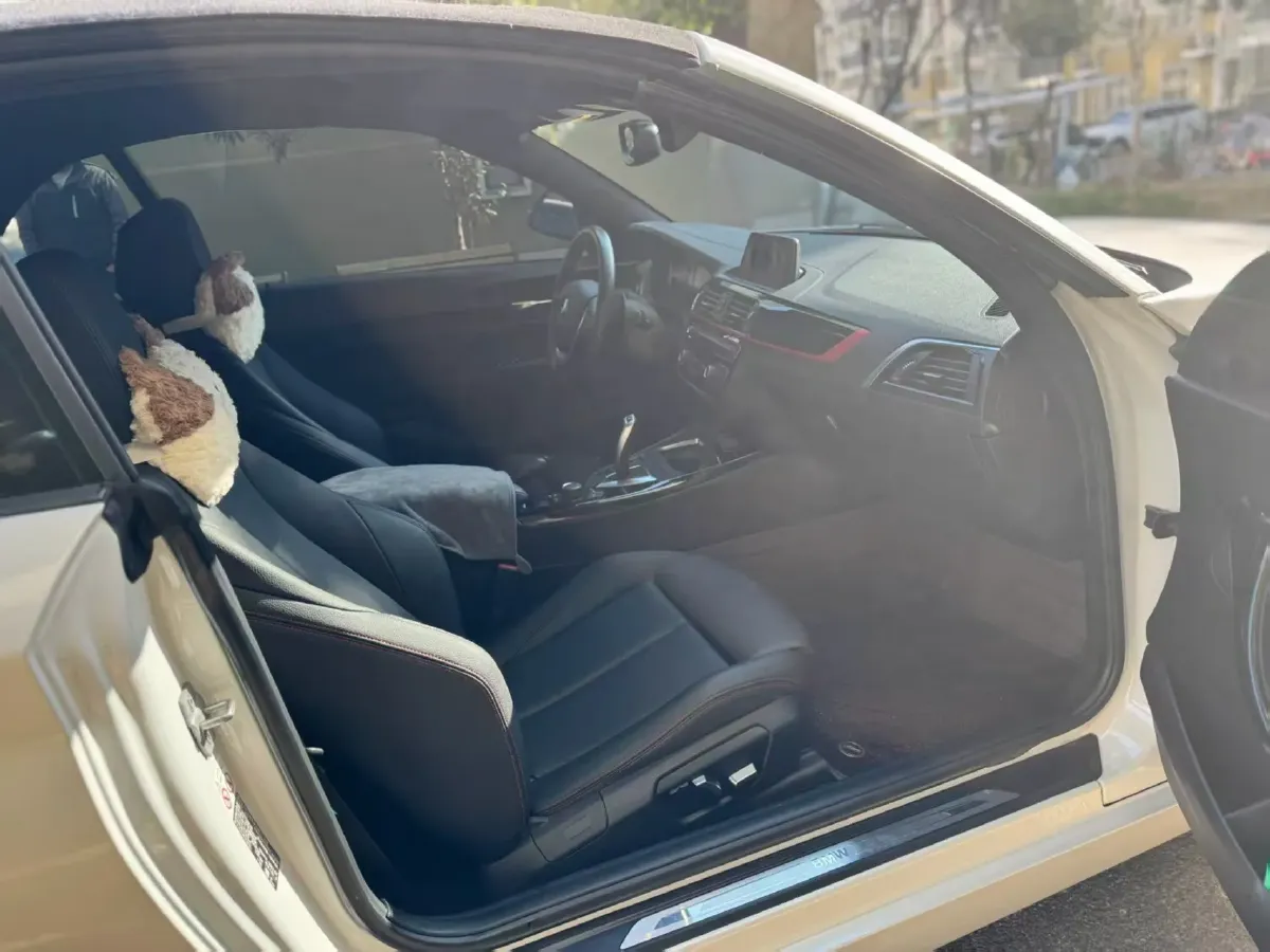 2019 BMW 2 Series 2.0T 184HP L4 8AT,autocango,china used car exporter,china ev exporter,chinese used car exporter,chinese used ev exporter