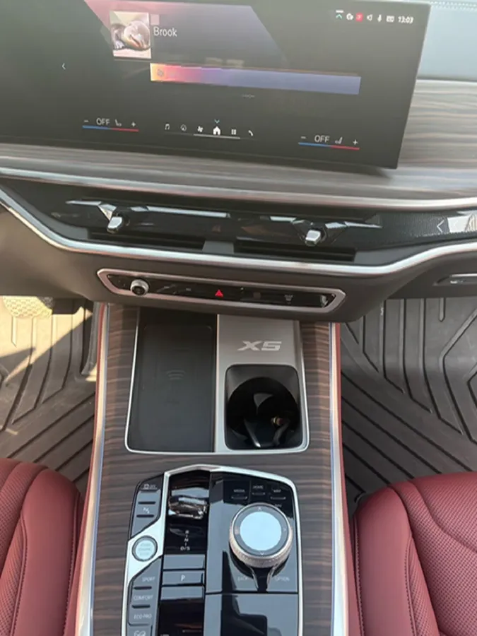 2023 BMW X5 3.0T 381HP L6 8AT,autocango,china used car exporter,china ev exporter,chinese used car exporter,chinese used ev exporter