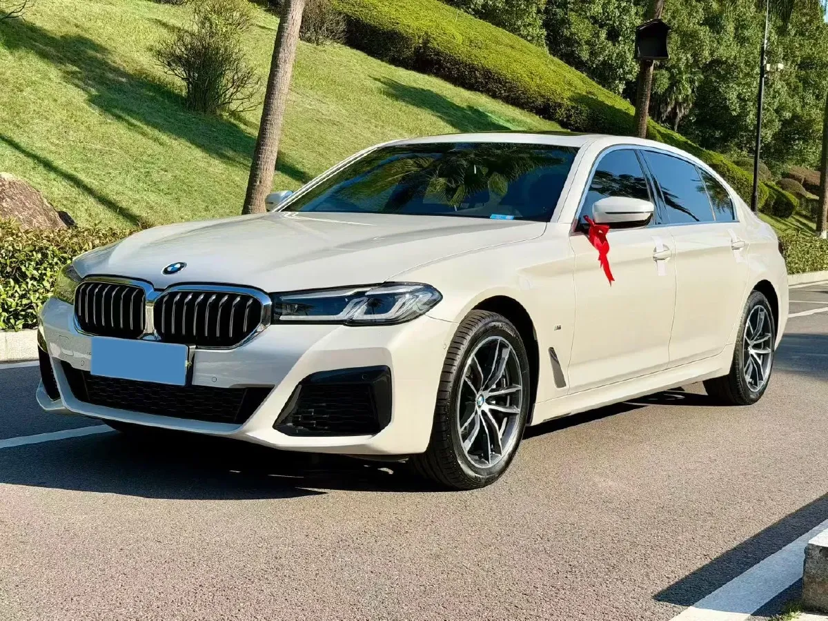 2022 BMW 5 Series 2.0T 184HP L4 8AT,autocango,china used car exporter,china ev exporter,chinese used car exporter,chinese used ev exporter