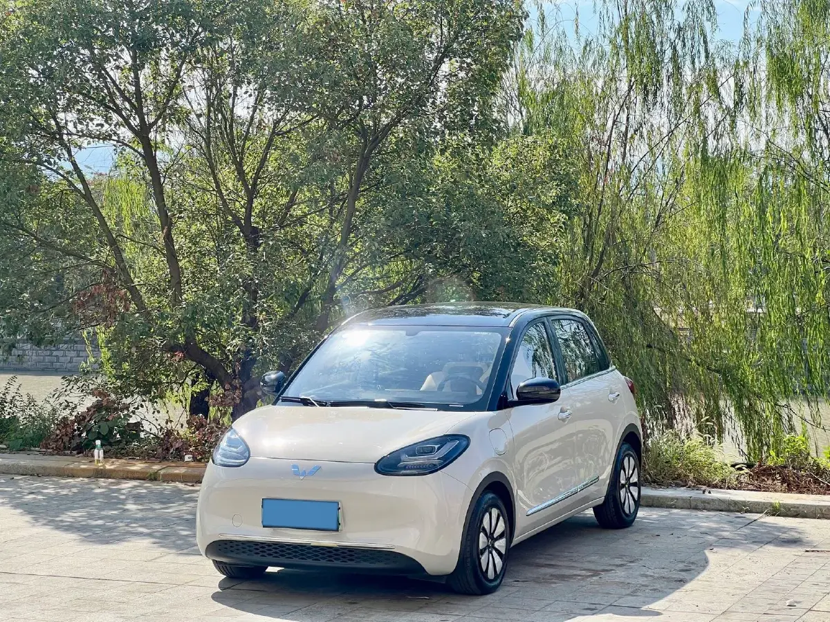 2024 WuLing BinGuo BEV 31.9KWH
