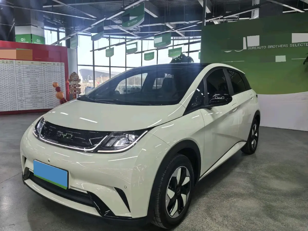 2024 BYD Dolphin BEV 44.928KWH