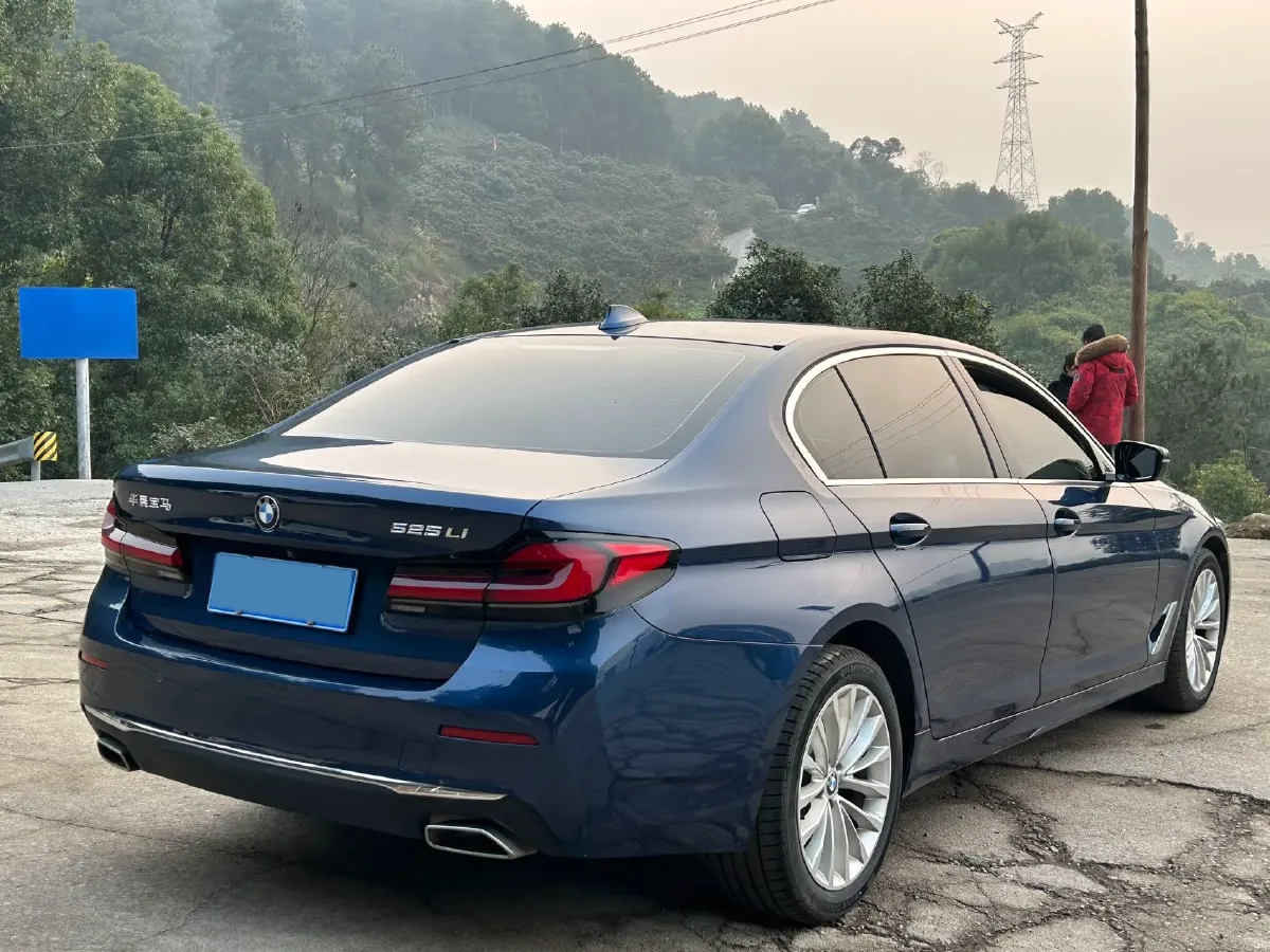 2021 BMW 5 Series 2.0T 184HP L4 8AT,autocango,china used car exporter,china ev exporter,chinese used car exporter,chinese used ev exporter