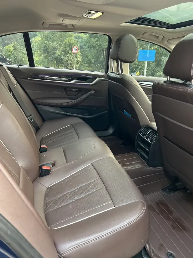 2021 BMW 5 Series 2.0T 184HP L4 8AT,autocango,china used car exporter,china ev exporter,chinese used car exporter,chinese used ev exporter