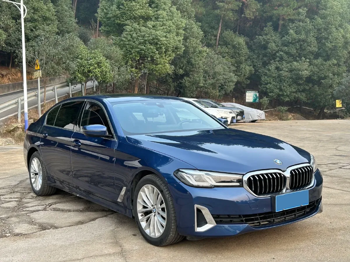 2021 BMW 5 Series 2.0T 184HP L4 8AT,autocango,china used car exporter,china ev exporter,chinese used car exporter,chinese used ev exporter