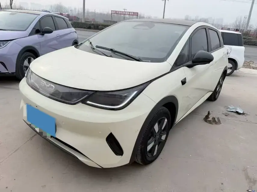 2025 BYD Dolphin BEV 45.12KWH