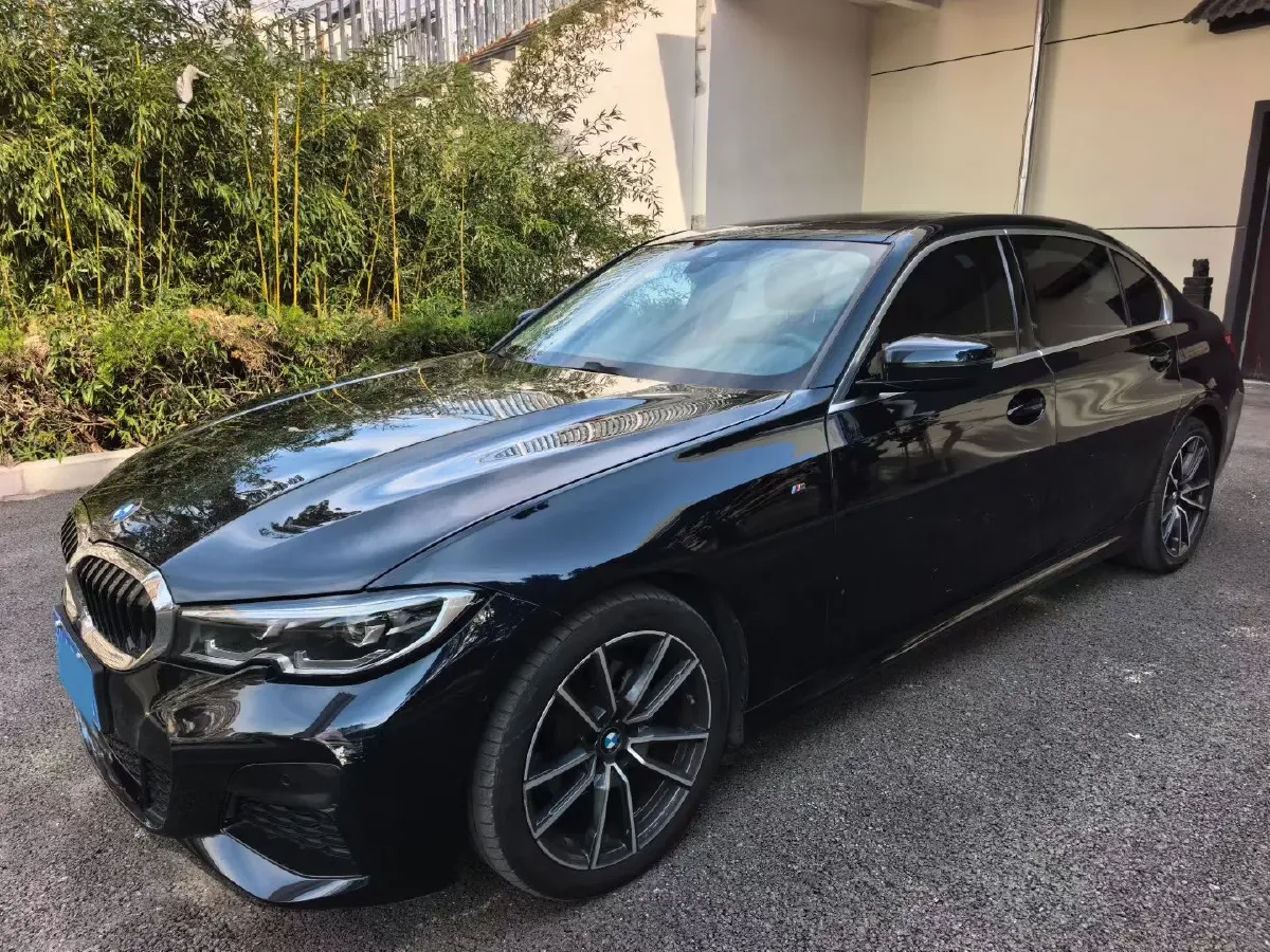 2021 BMW 3 Series 2.0T 184HP L4 8AT,autocango,china used car exporter,china ev exporter,chinese used car exporter,chinese used ev exporter