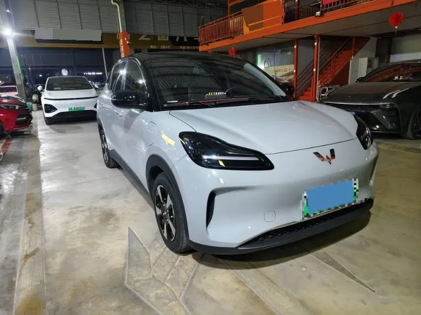 2024 WuLing BinGuoPLUS BEV 50.6KWH,autocango,china used car exporter,china ev exporter,chinese used car exporter,chinese used ev exporter