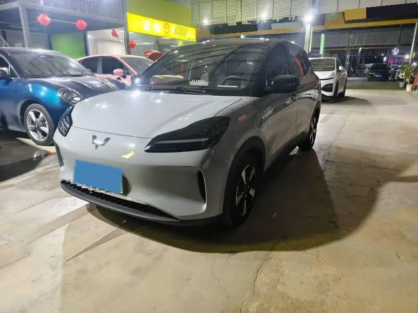 2024 WuLing BinGuoPLUS BEV 50.6KWH