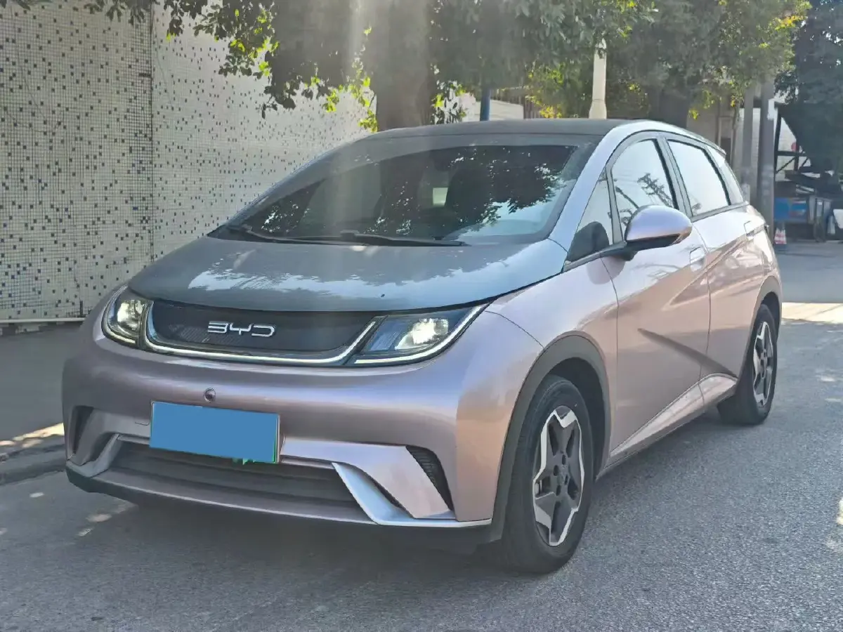 2021 BYD Yuan Pro BEV 50.1KWH