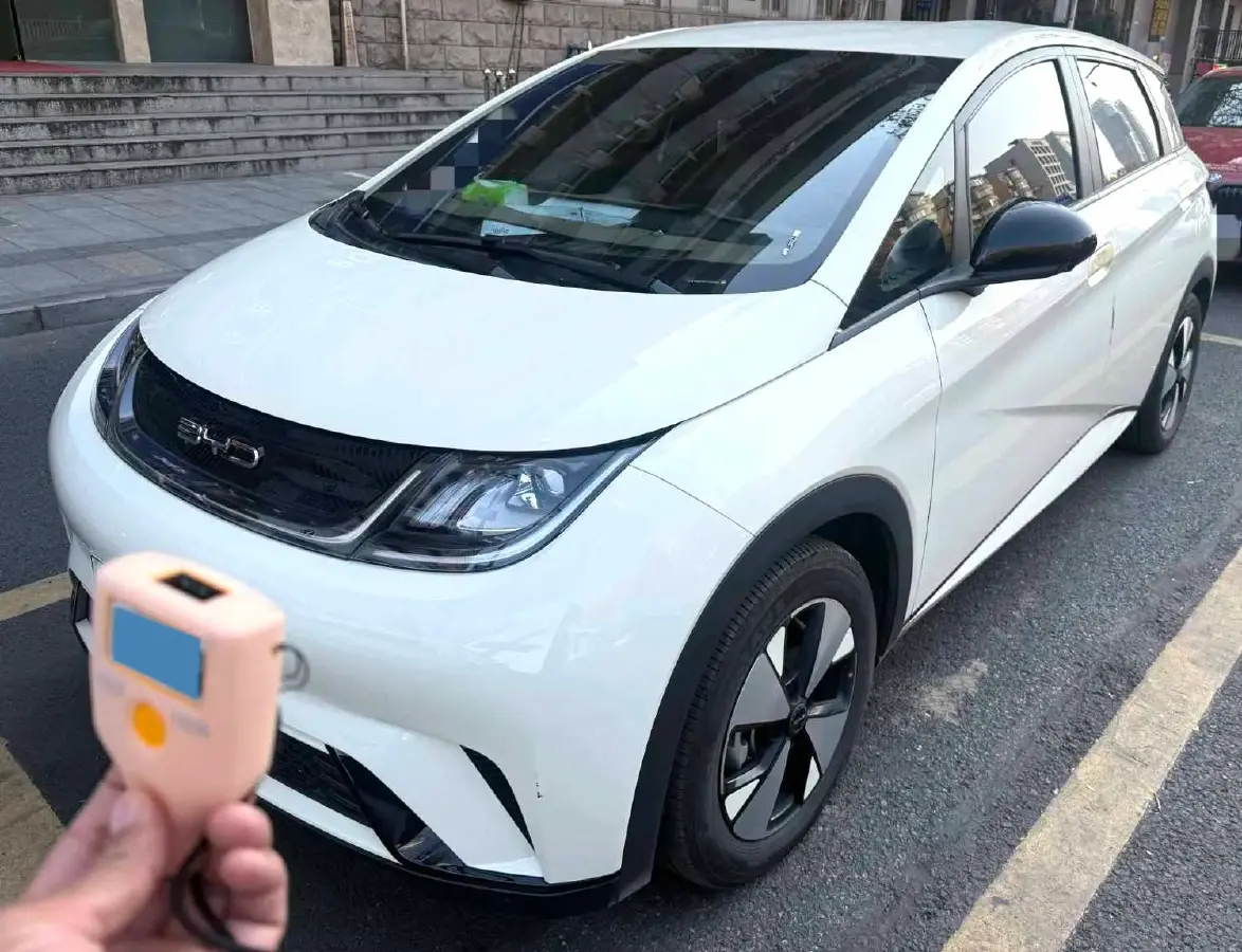 2023 BYD Dolphin BEV 44.928KWH