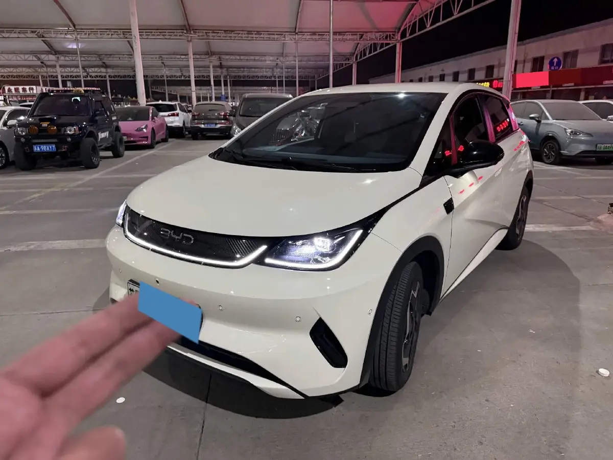 2025 BYD Dolphin BEV 45.12KWH