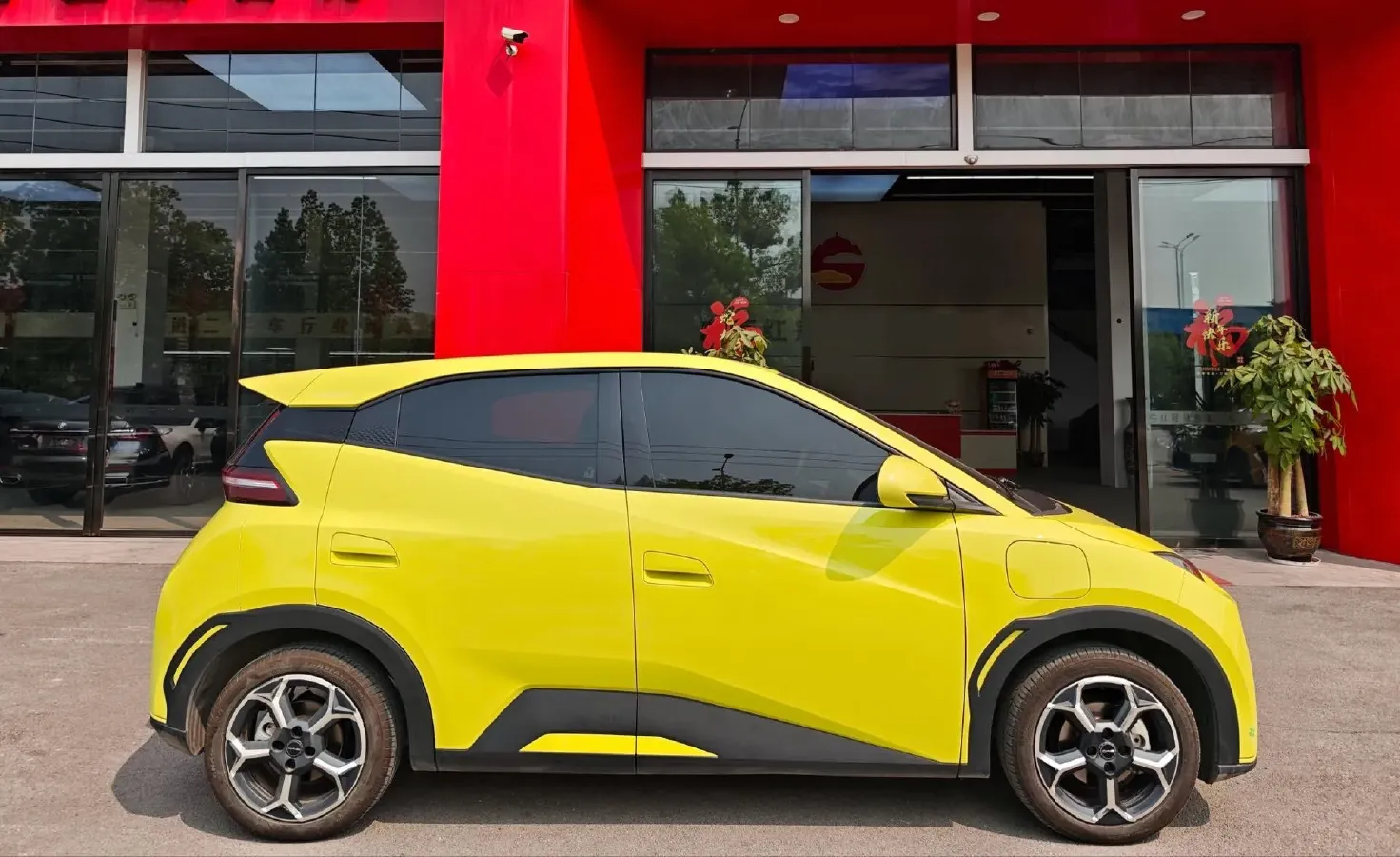 2024 BYD Seagull BEV 38.88KWH,autocango,china used car exporter,china ev exporter,chinese used car exporter,chinese used ev exporter