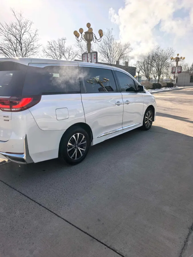 2023 GAC Trumpchi M8 2.0T 252HP L4 8AT,autocango,china used car exporter,china ev exporter,chinese used car exporter,chinese used ev exporter