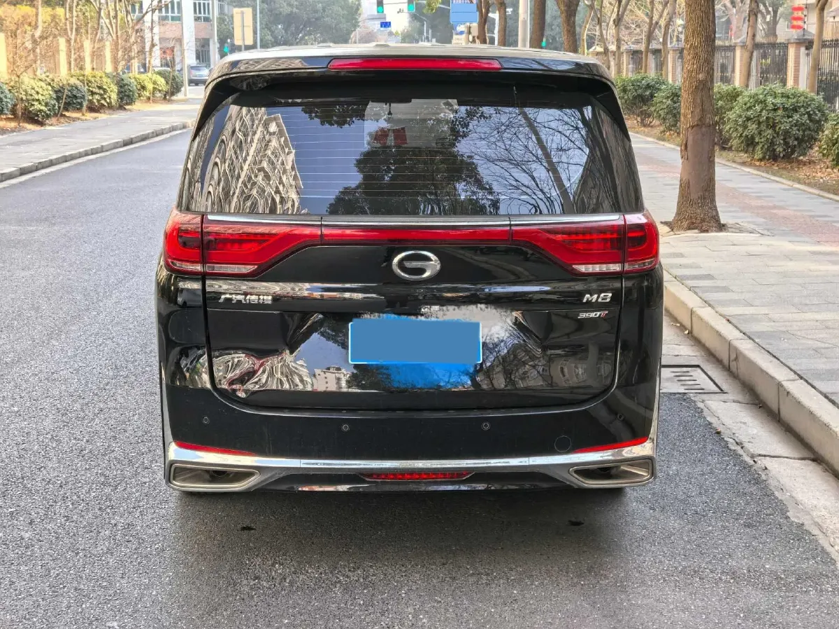 2023 GAC Trumpchi M8 2.0T 252HP L4 8AT,autocango,china used car exporter,china ev exporter,chinese used car exporter,chinese used ev exporter