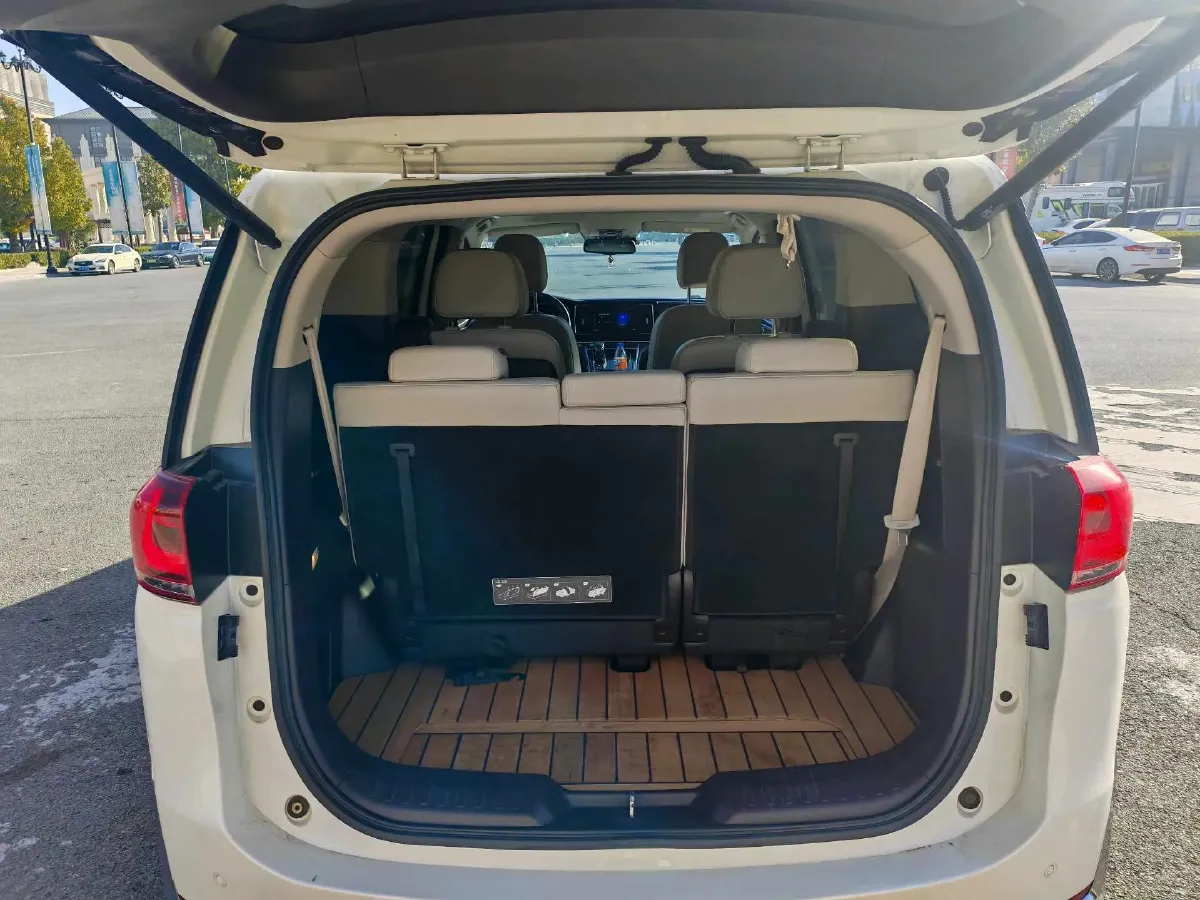 2021 GAC Trumpchi M8 2.0T 252HP L4 8AT,autocango,china used car exporter,china ev exporter,chinese used car exporter,chinese used ev exporter