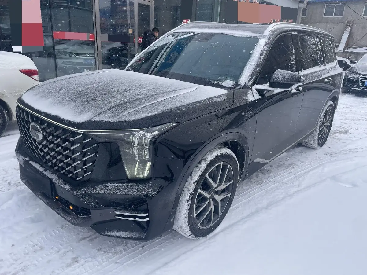 2022 GAC Trumpchi GS8 2.0T 252HP L4 8AT