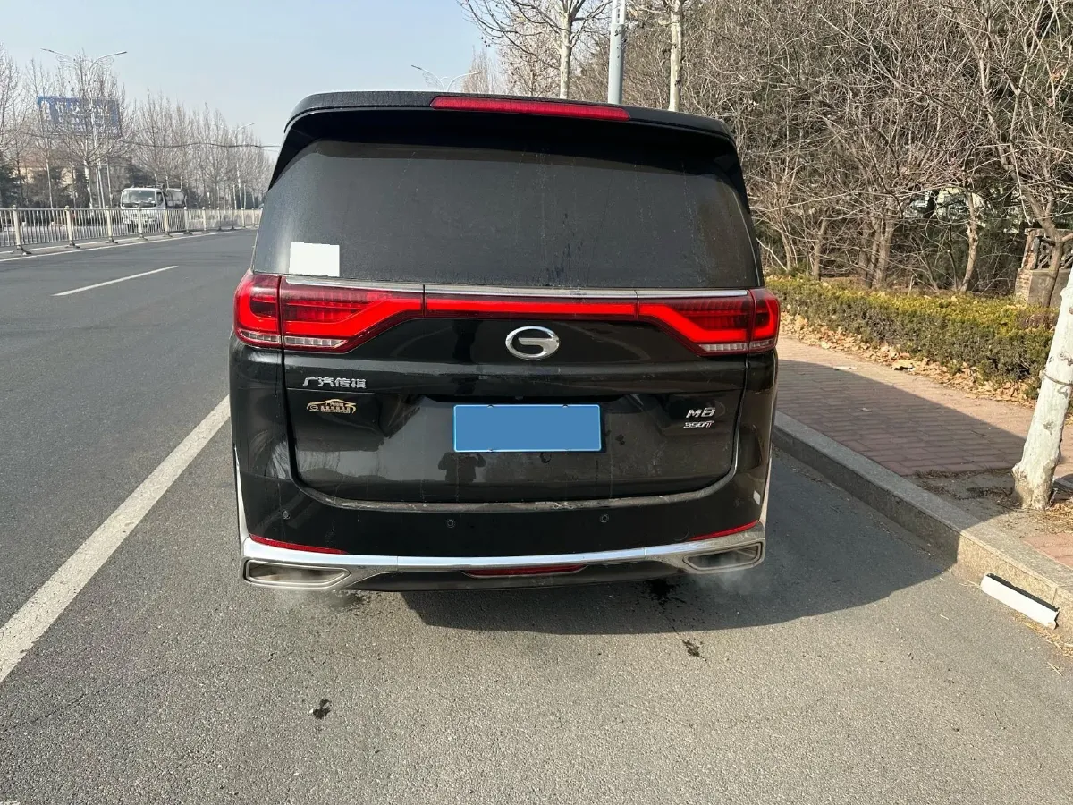 2021 GAC Trumpchi M8 2.0T 252HP L4 8AT,autocango,china used car exporter,china ev exporter,chinese used car exporter,chinese used ev exporter
