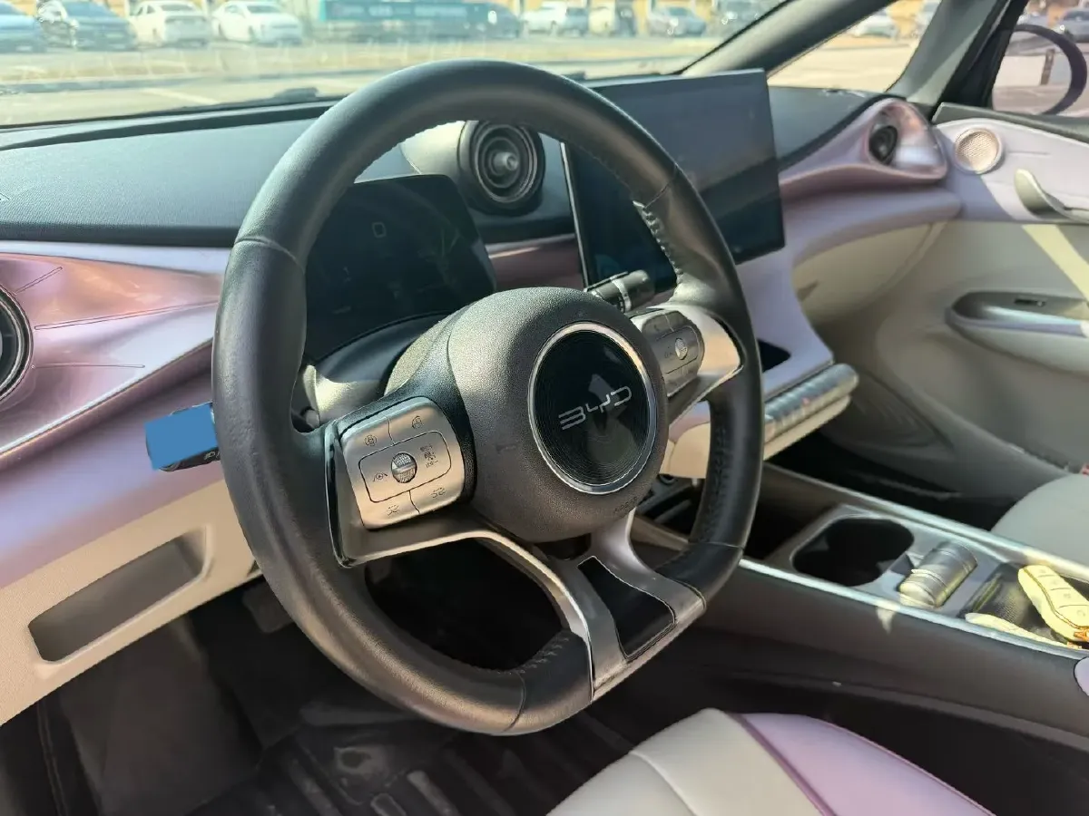 2021 BYD Dolphin BEV 44.9KWH,autocango,china used car exporter,china ev exporter,chinese used car exporter,chinese used ev exporter