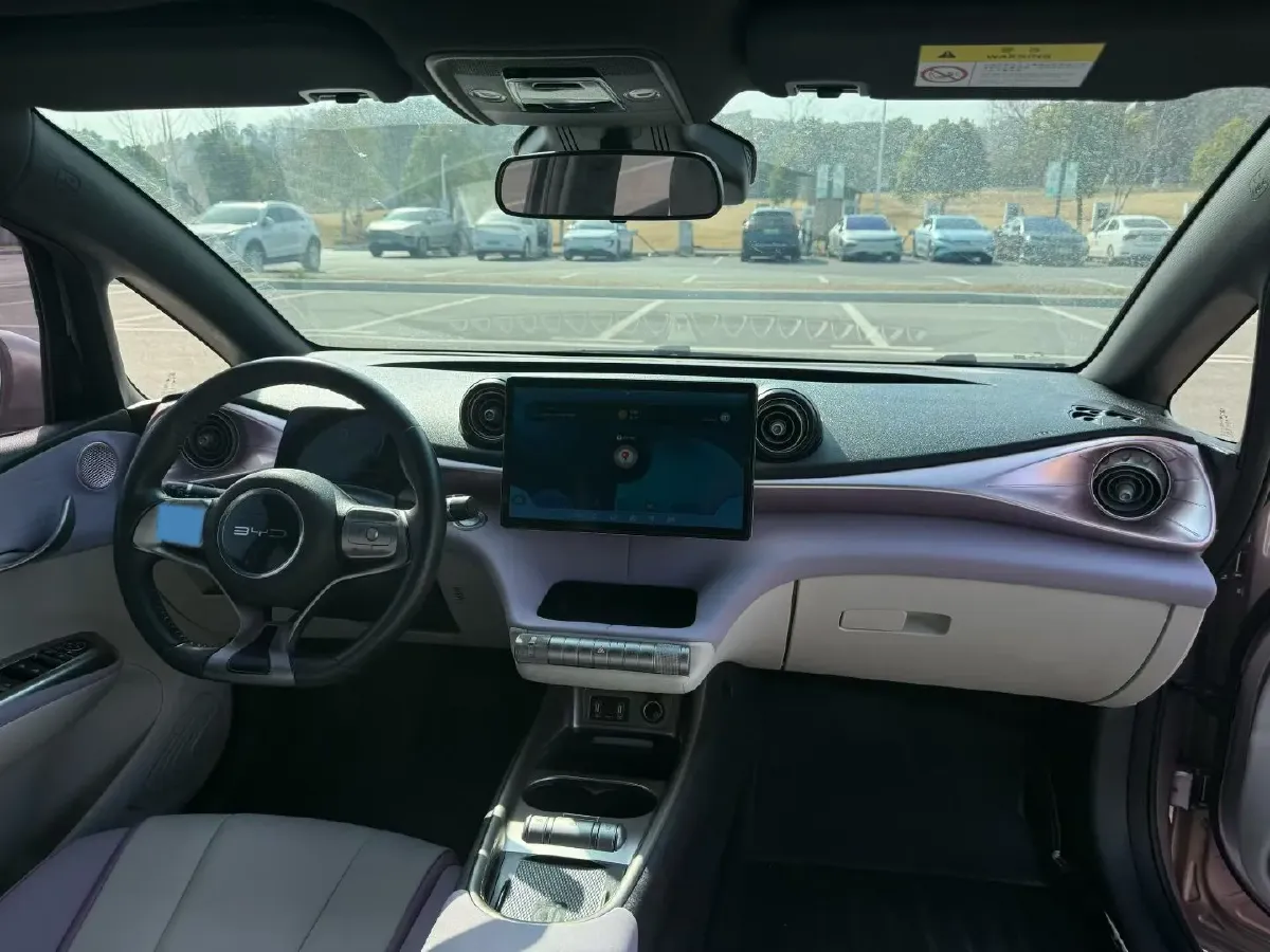 2021 BYD Dolphin BEV 44.9KWH,autocango,china used car exporter,china ev exporter,chinese used car exporter,chinese used ev exporter