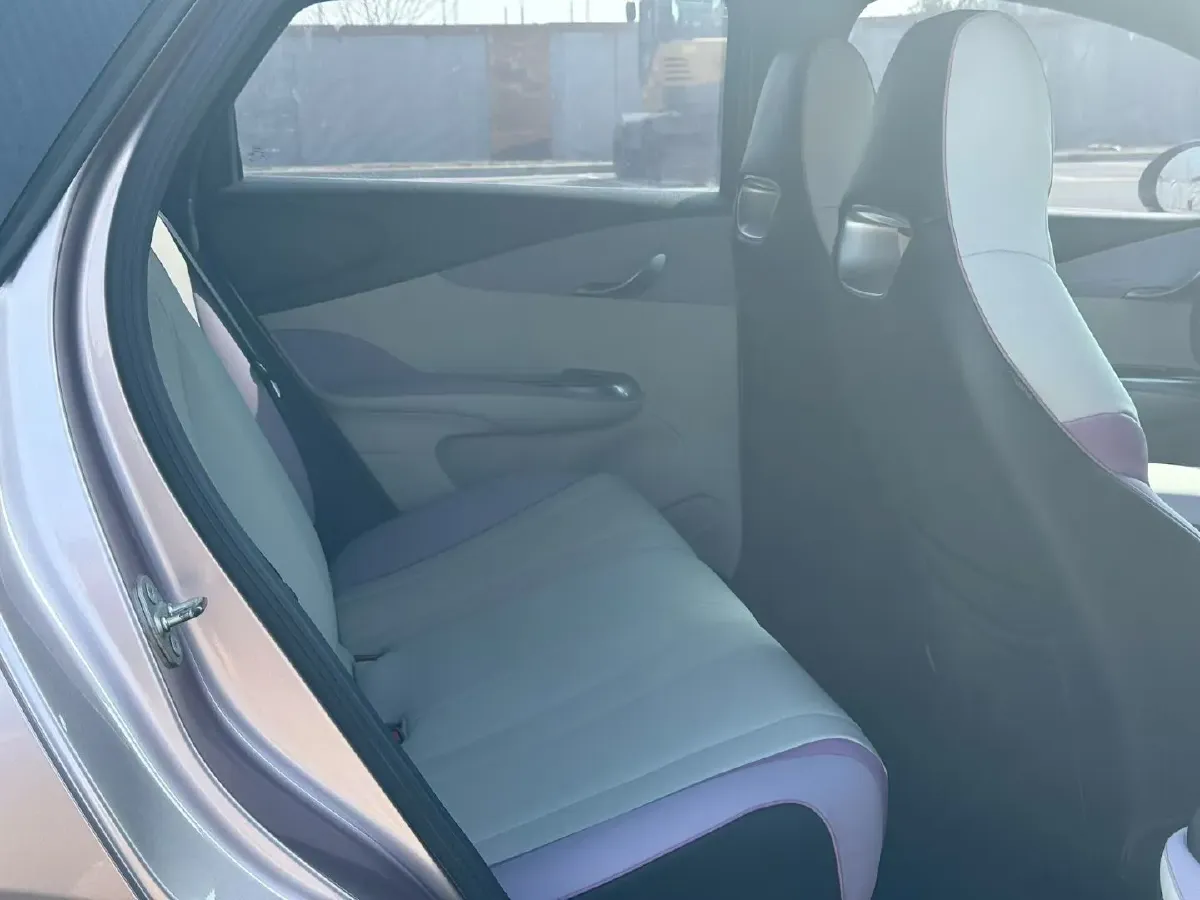 2021 BYD Dolphin BEV 44.9KWH,autocango,china used car exporter,china ev exporter,chinese used car exporter,chinese used ev exporter