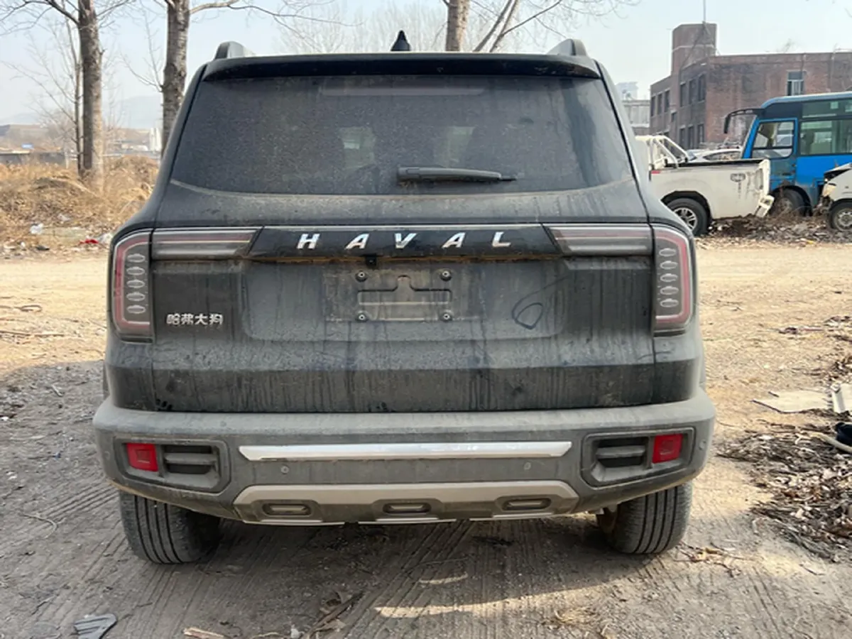 2022 Haval Dargo 2.0T 211HP L4 7DCT,autocango,china used car exporter,china ev exporter,chinese used car exporter,chinese used ev exporter