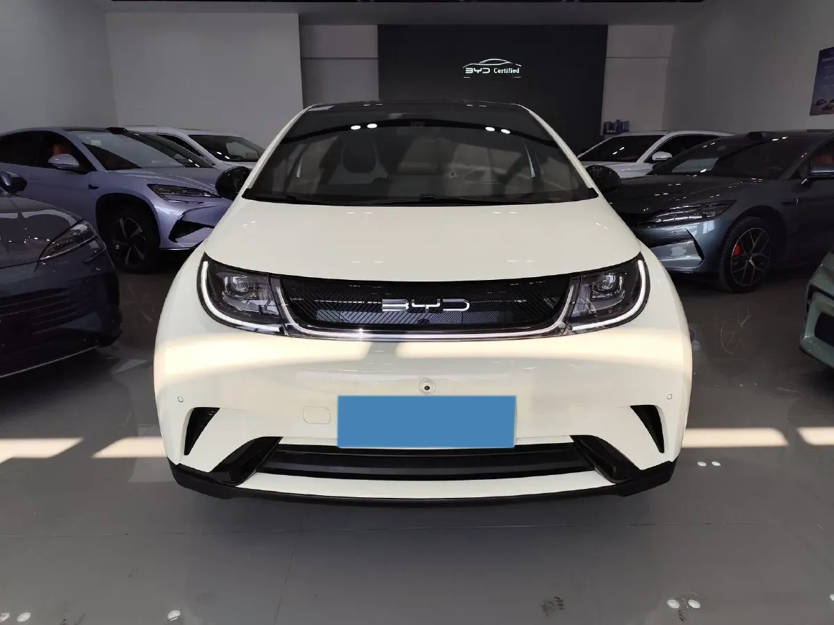 2024 BYD Dolphin BEV 44.928KWH,autocango,china used car exporter,china ev exporter,chinese used car exporter,chinese used ev exporter