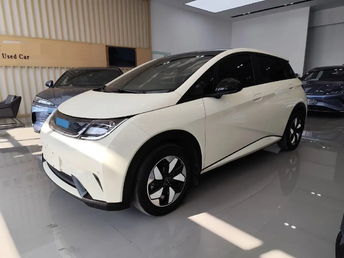 2024 BYD Dolphin BEV 44.928KWH