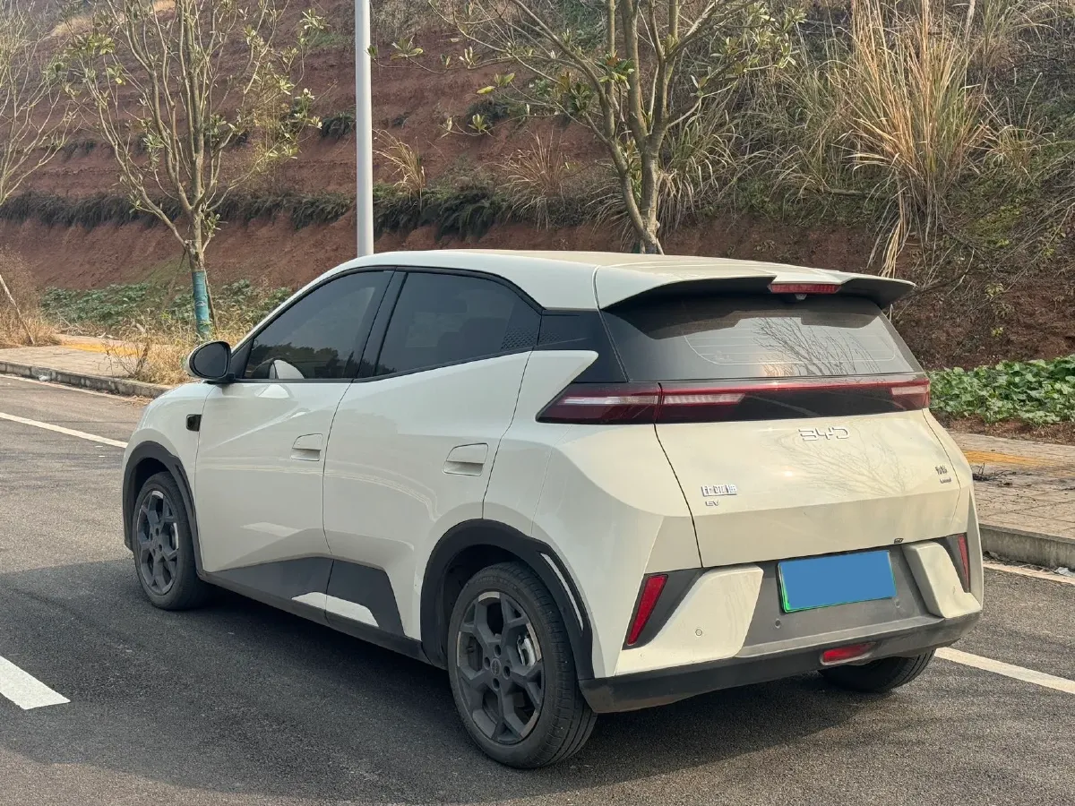 2025 BYD Seagull BEV 38.88KWH,autocango,china used car exporter,china ev exporter,chinese used car exporter,chinese used ev exporter