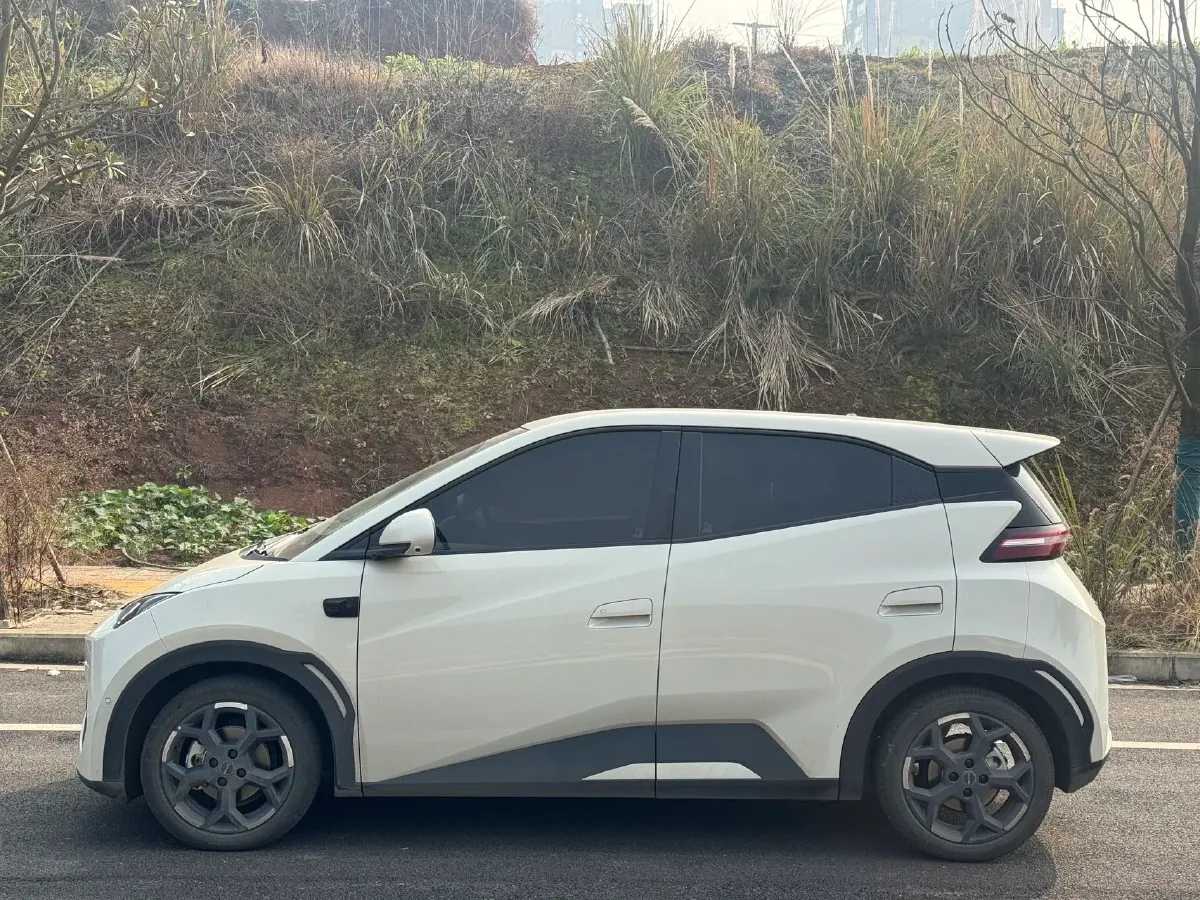 2025 BYD Seagull BEV 38.88KWH,autocango,china used car exporter,china ev exporter,chinese used car exporter,chinese used ev exporter