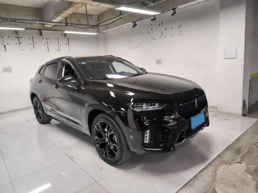 2019 WEY VV7 2.0T 227HP L4 7DCT,autocango,china used car exporter,china ev exporter,chinese used car exporter,chinese used ev exporter