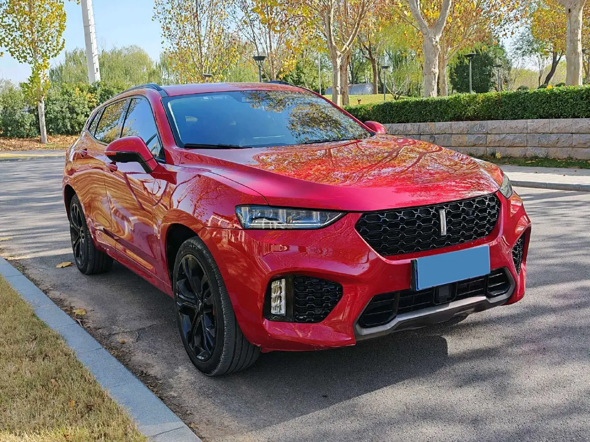 2017 WEY VV7 2.0T 234HP L4 7DCT,autocango,china used car exporter,china ev exporter,chinese used car exporter,chinese used ev exporter