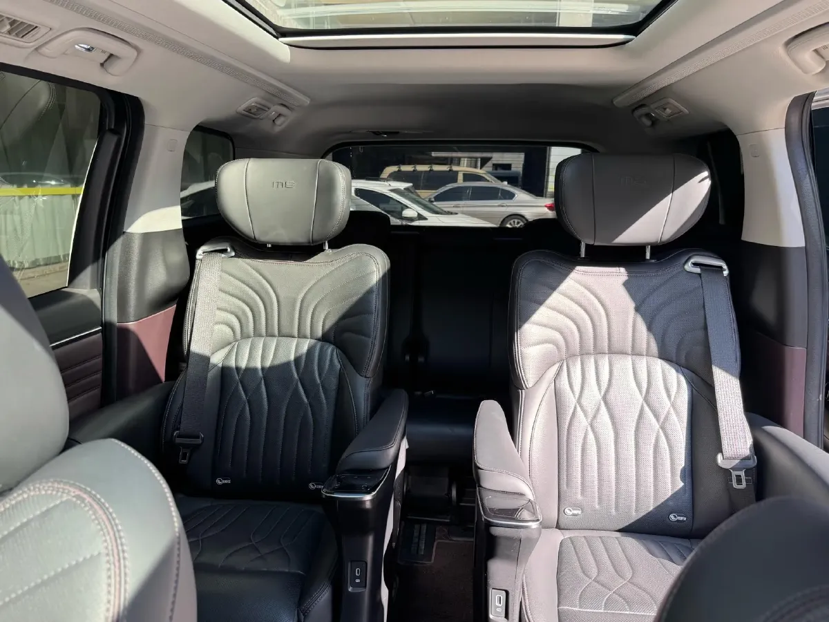 2024 GAC Trumpchi M8 2.0T 252HP L4 8AT,autocango,china used car exporter,china ev exporter,chinese used car exporter,chinese used ev exporter