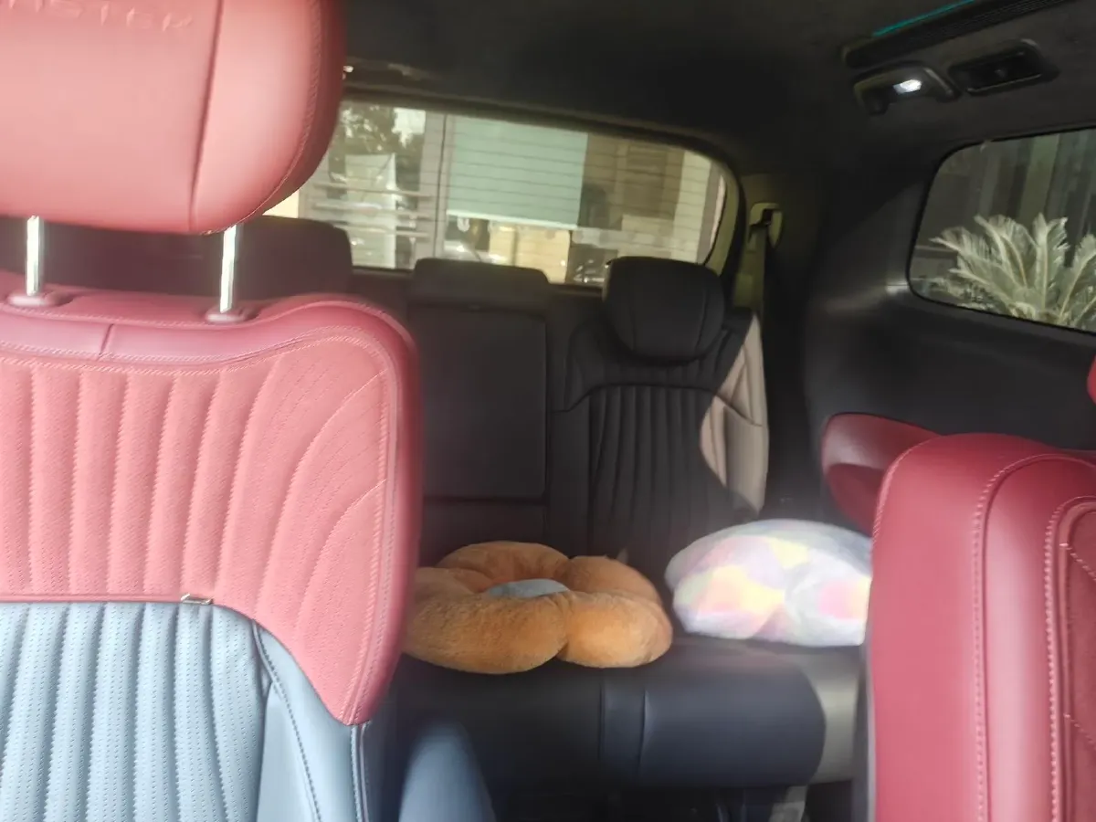 2024 GAC Trumpchi M8 2.0T 252HP L4 8AT,autocango,china used car exporter,china ev exporter,chinese used car exporter,chinese used ev exporter