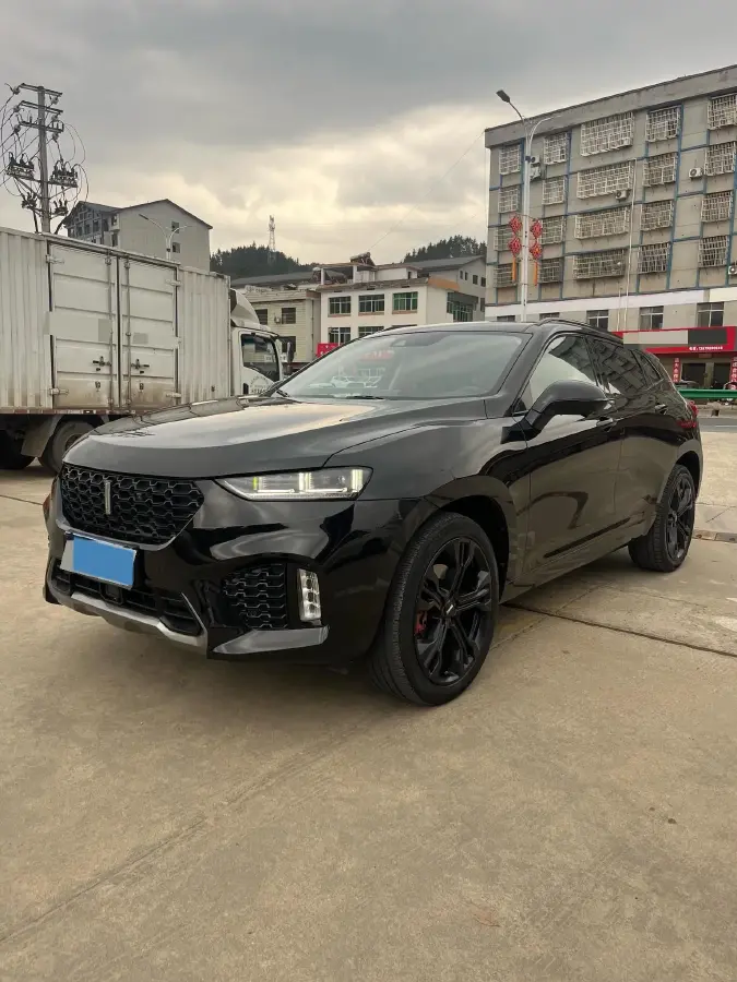 2019 WEY VV7 2.0T 227HP L4 7DCT