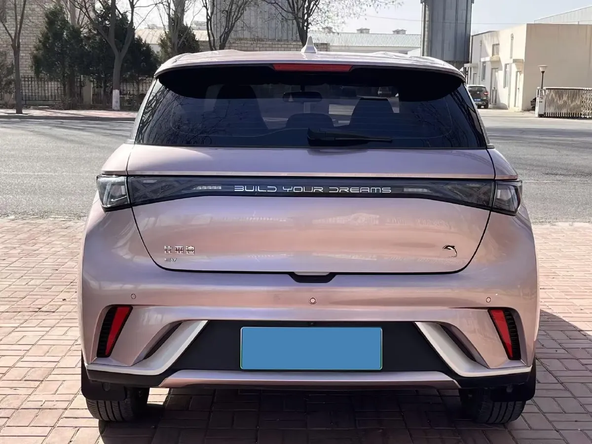 2023 BYD Dolphin BEV 44.928KWH,autocango,china used car exporter,china ev exporter,chinese used car exporter,chinese used ev exporter