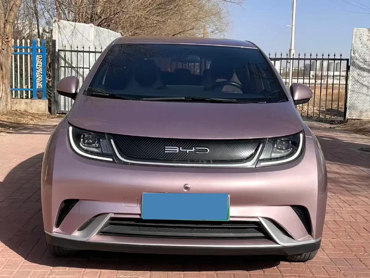2023 BYD Dolphin BEV 44.928KWH,autocango,china used car exporter,china ev exporter,chinese used car exporter,chinese used ev exporter