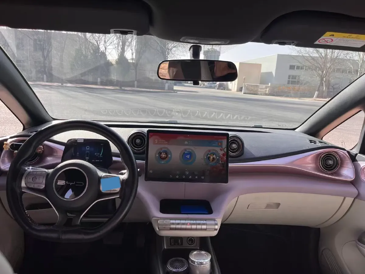 2023 BYD Dolphin BEV 44.928KWH,autocango,china used car exporter,china ev exporter,chinese used car exporter,chinese used ev exporter