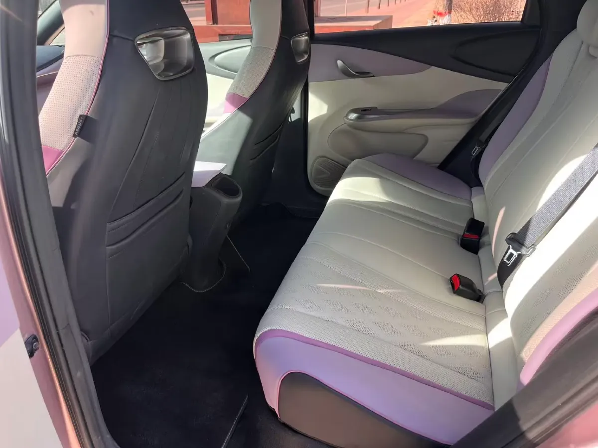 2023 BYD Dolphin BEV 44.928KWH,autocango,china used car exporter,china ev exporter,chinese used car exporter,chinese used ev exporter