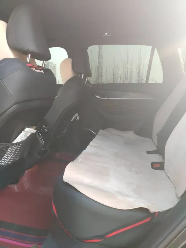 2024 Geely Monjaro 2.0T 238HP L4 8AT,autocango,china used car exporter,china ev exporter,chinese used car exporter,chinese used ev exporter