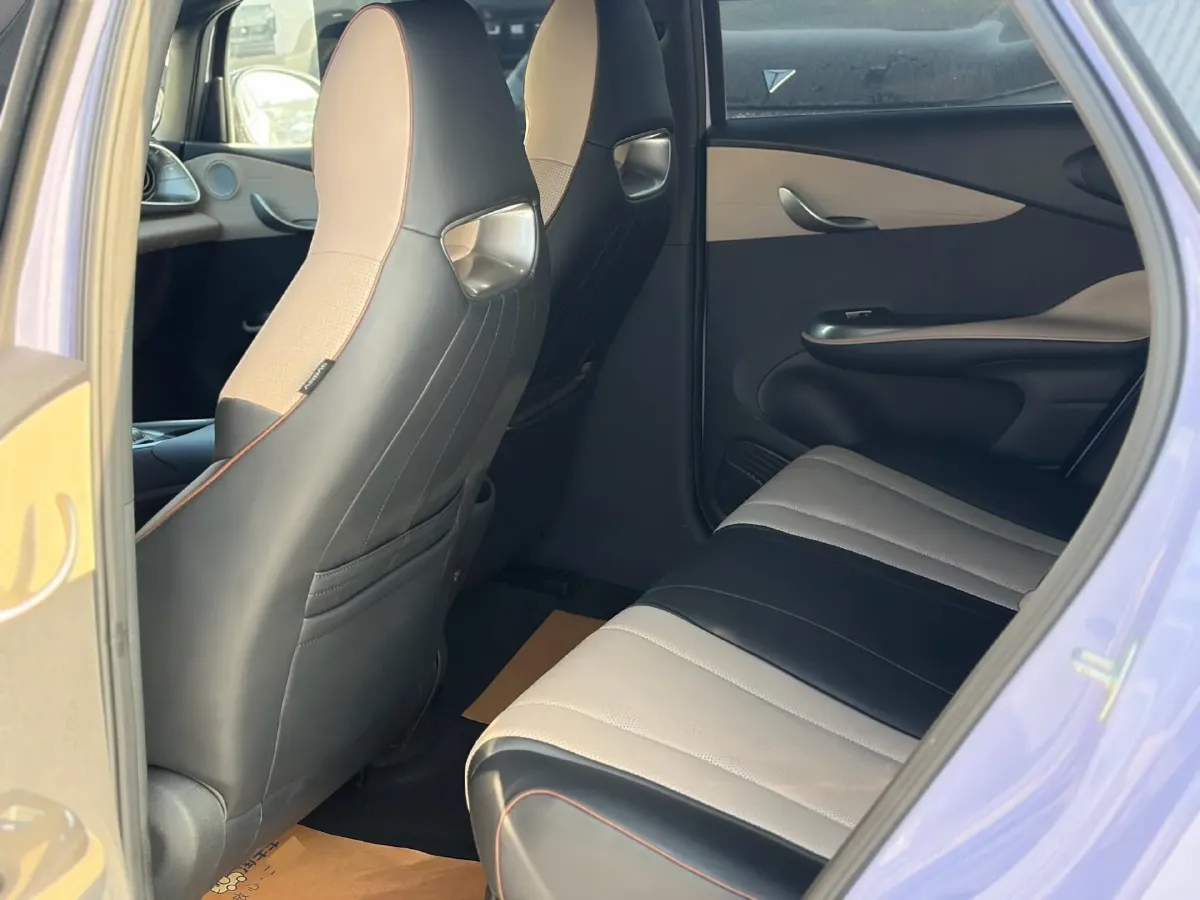 2023 BYD Dolphin BEV 44.928KWH,autocango,china used car exporter,china ev exporter,chinese used car exporter,chinese used ev exporter